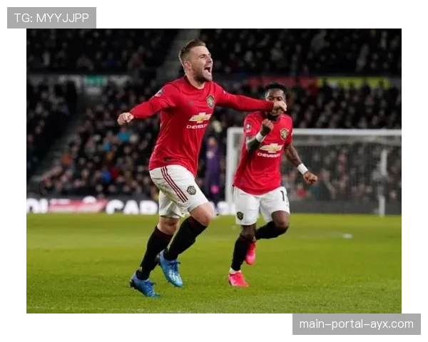 曼联5名中卫伤病多年龄小，密切关注范德芬和穆里略